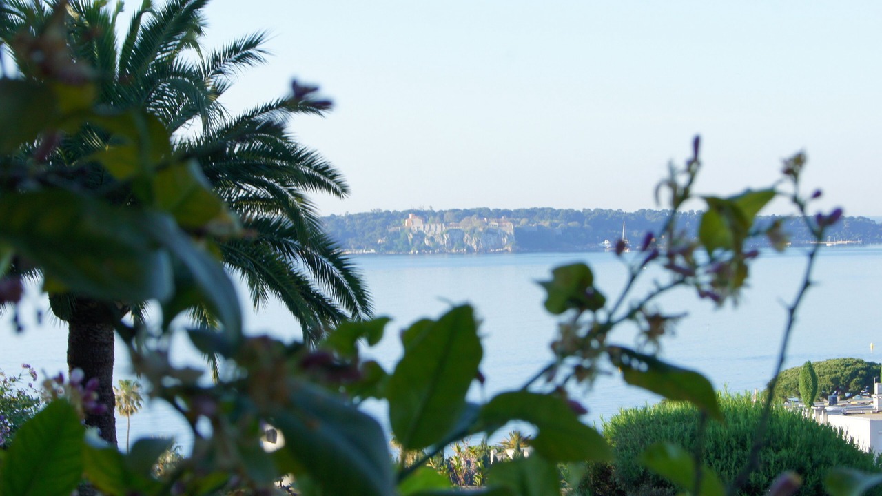 Photo of Outdoor in California - Pezou