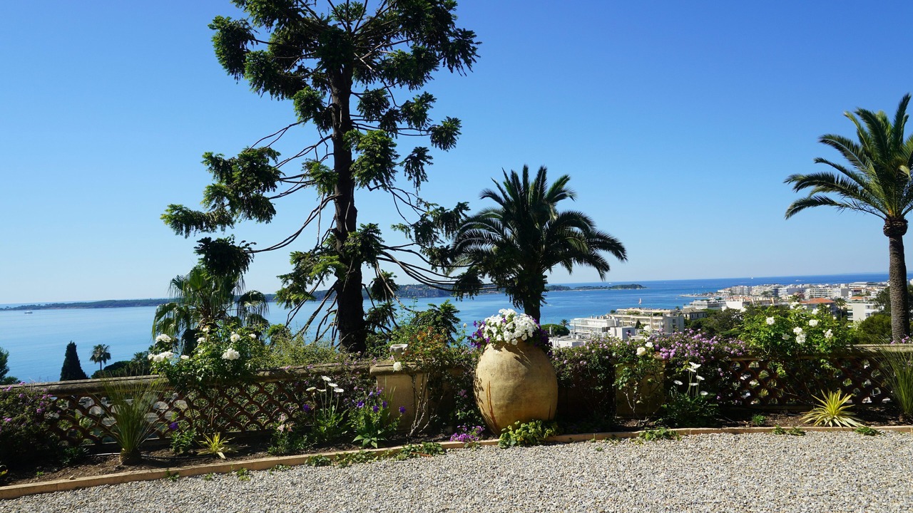 Photo of Outdoor in California - Pezou