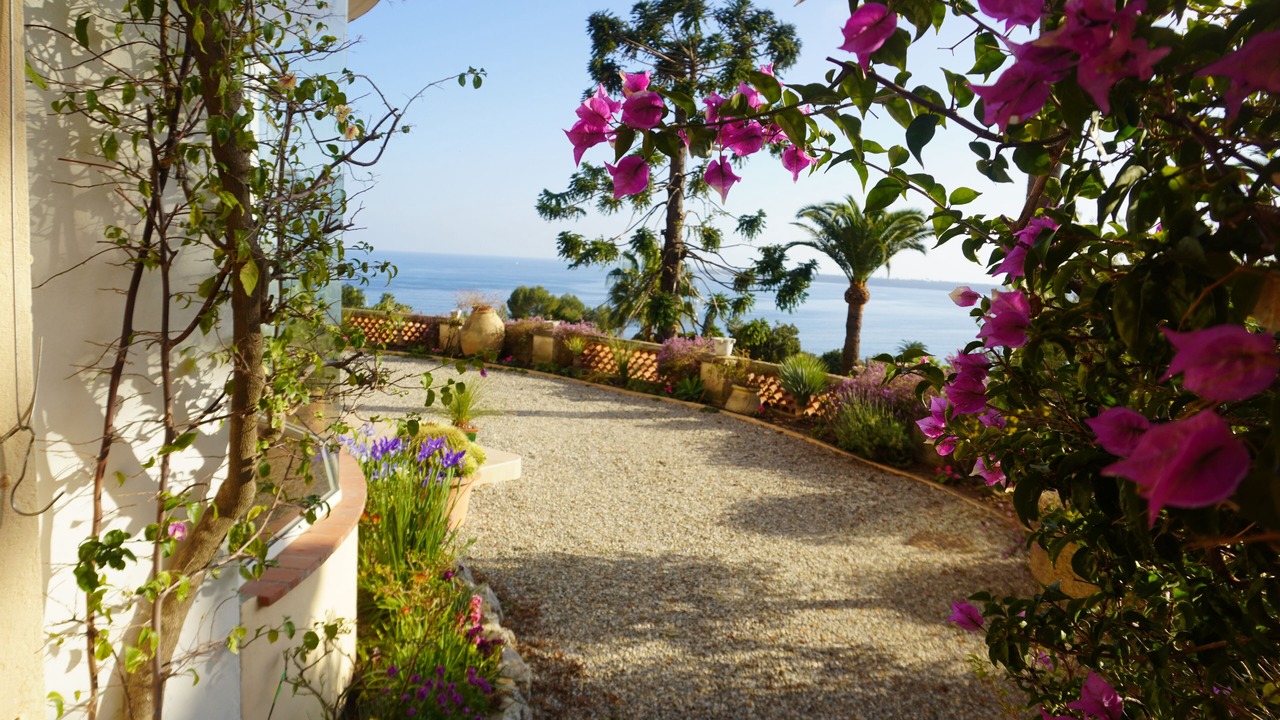 Photo of Outdoor in California - Pezou