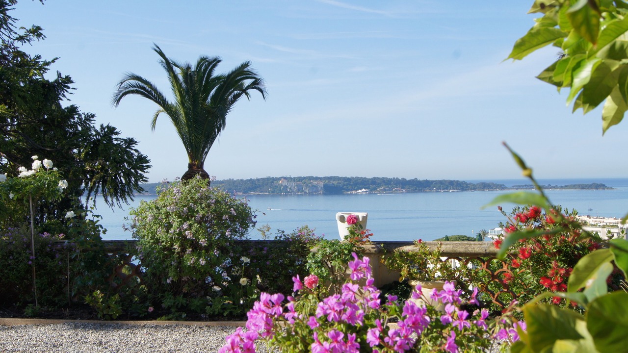 Photo of Outdoor in California - Pezou
