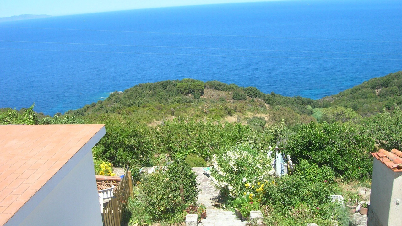 Photo of Others in Zanca
