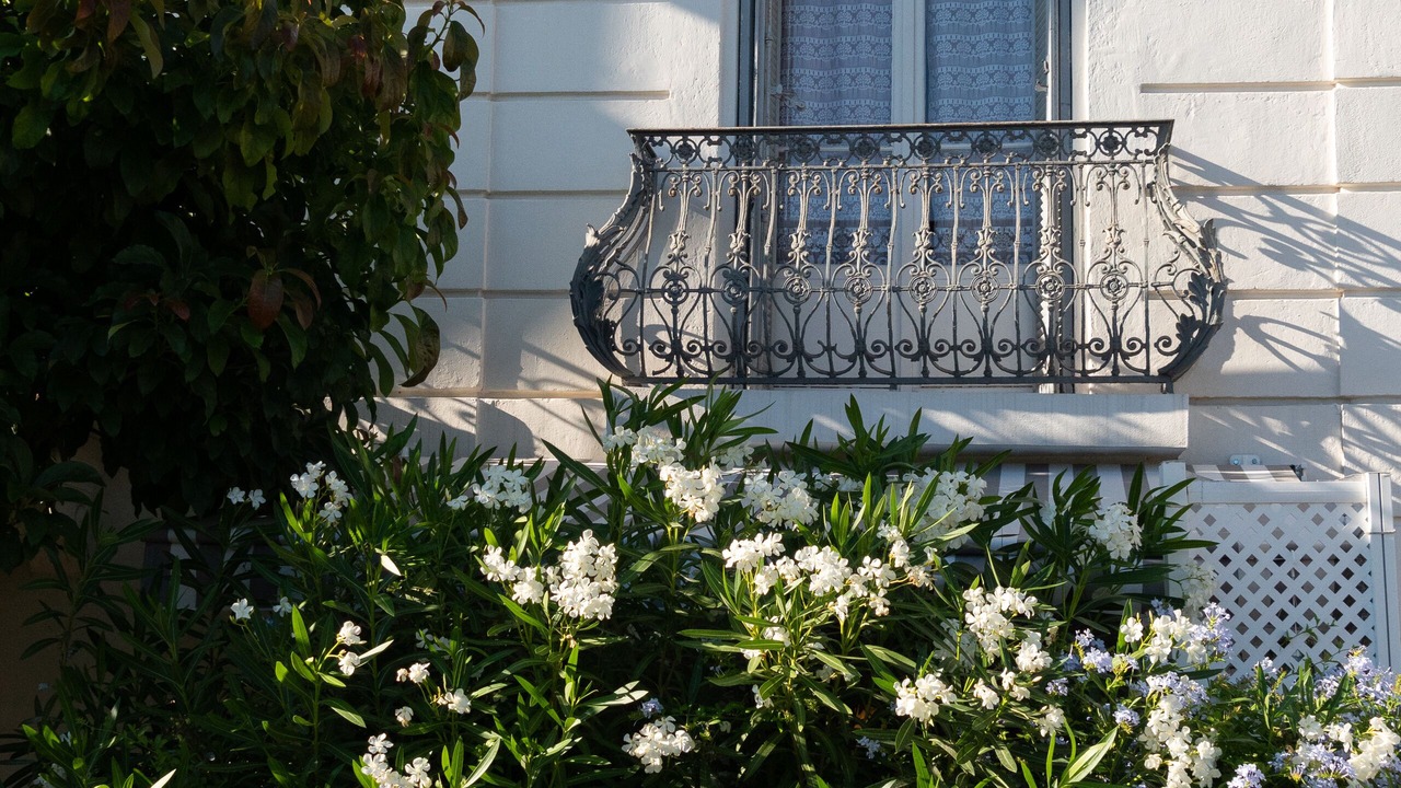 Photo of Outdoor in California - Pezou