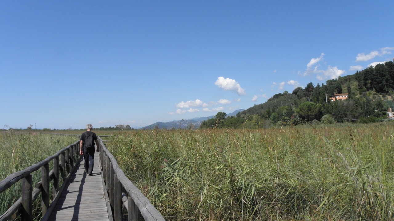 Photo of Outdoor in Massarosa
