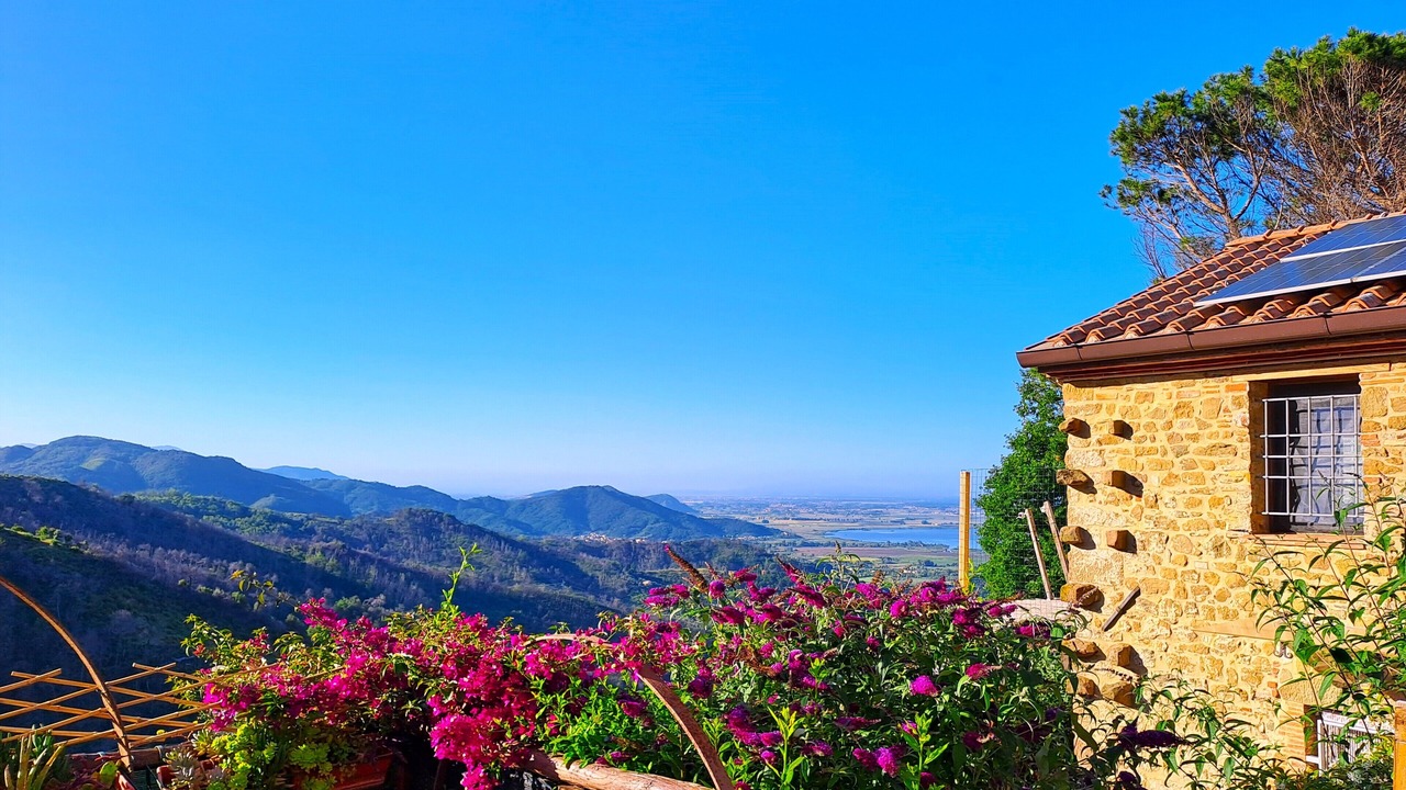 Photo of Outdoor in Massarosa