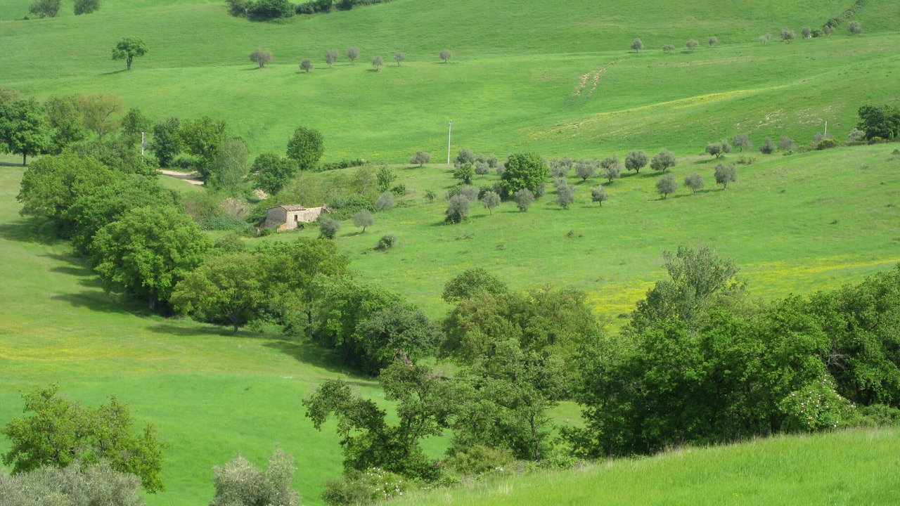 Photo of Others in Torrita di Siena