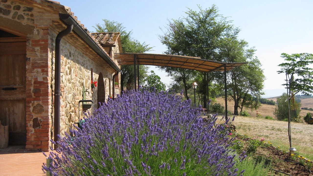 Photo of Outdoor in Torrita di Siena