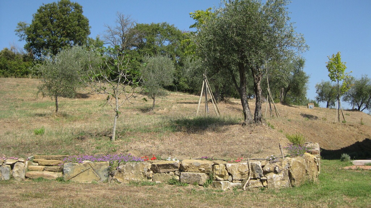 Photo of Outdoor in Torrita di Siena