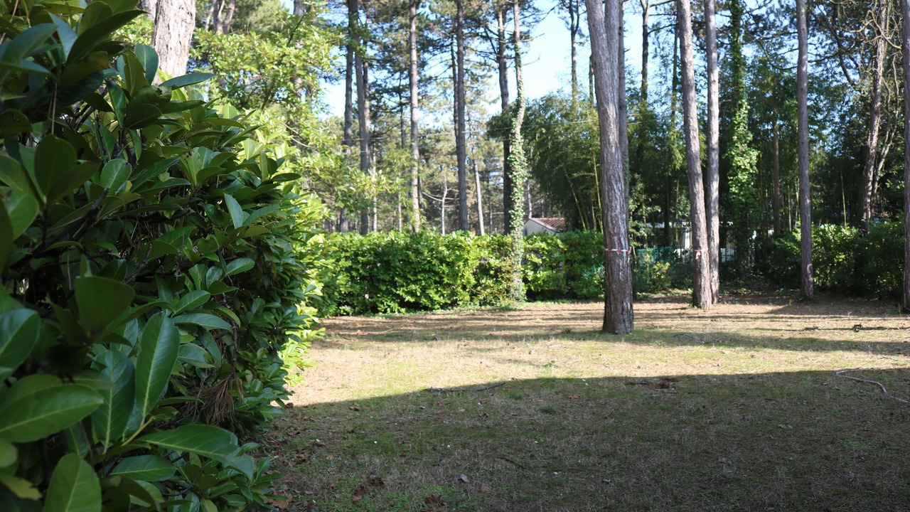 Photo of Outdoor in Bibione Lido del Sole