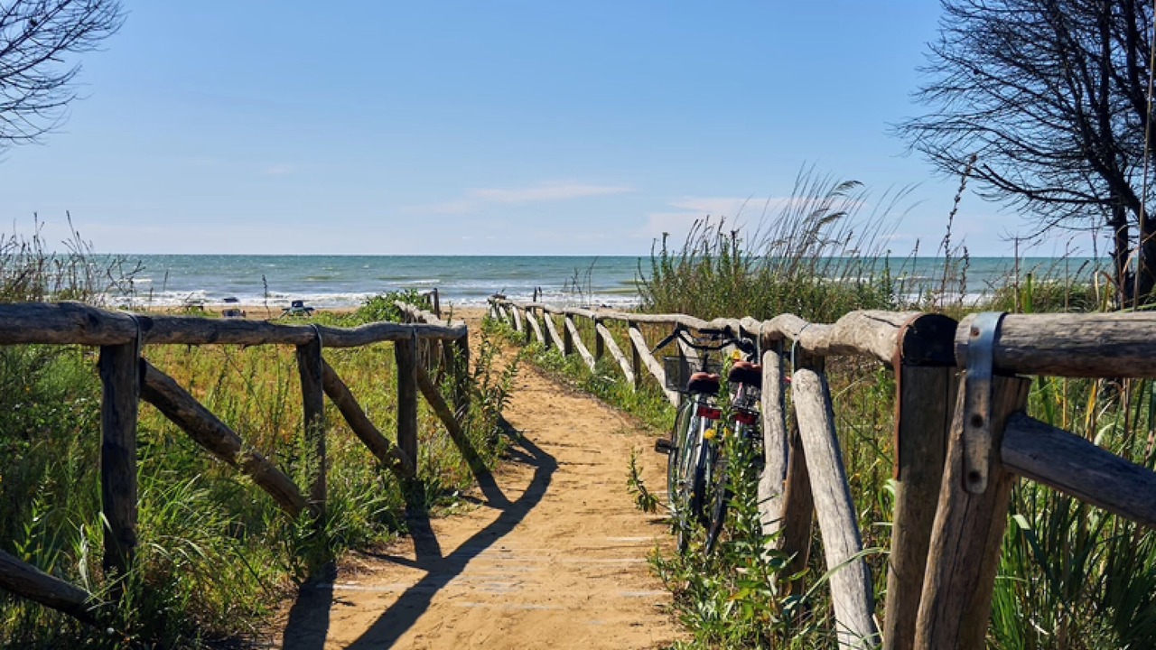 Photo of Others in Bibione Lido del Sole