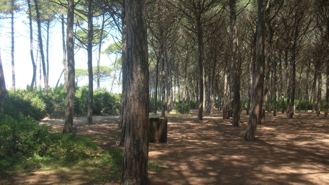 Photo of Outdoor in Mazzanta