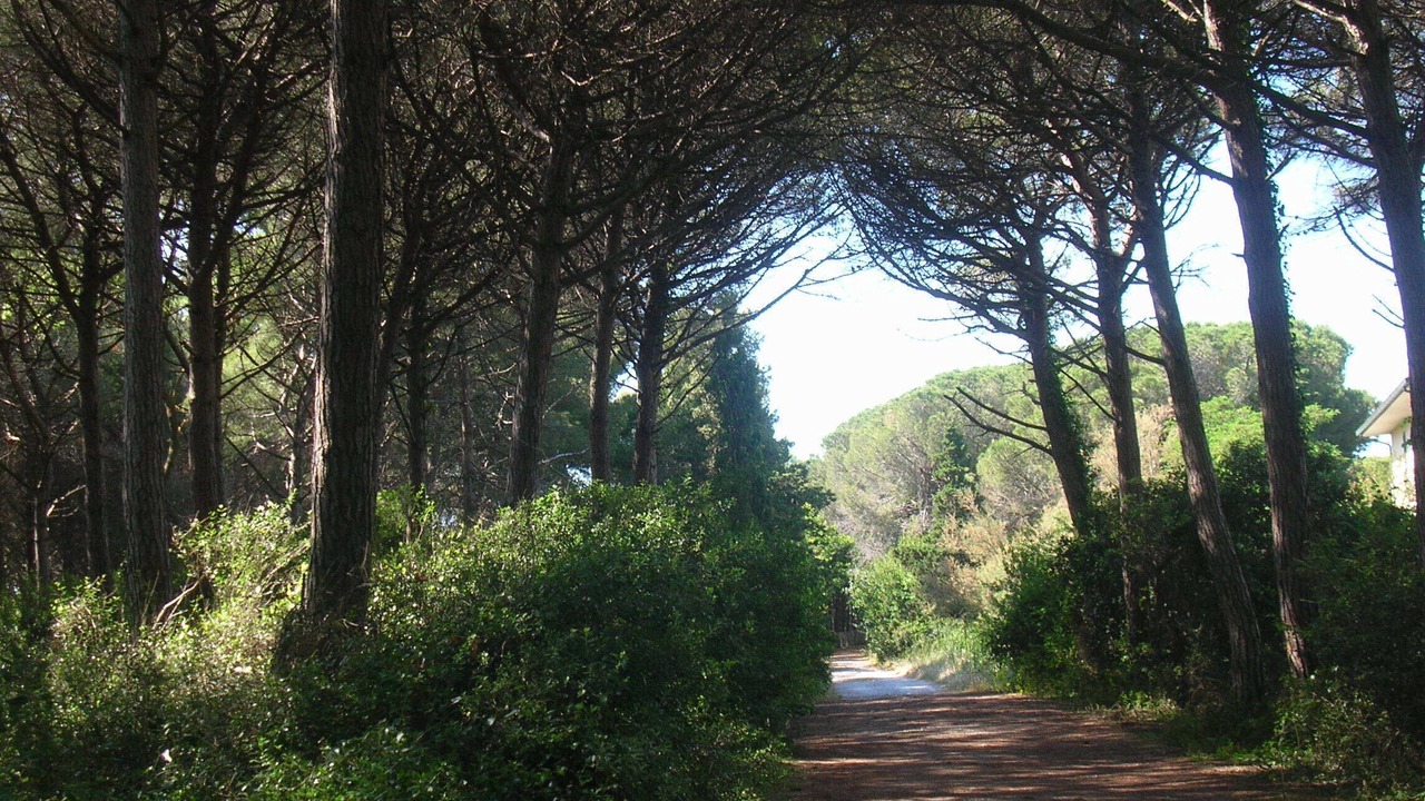 Photo of Outdoor in Mazzanta