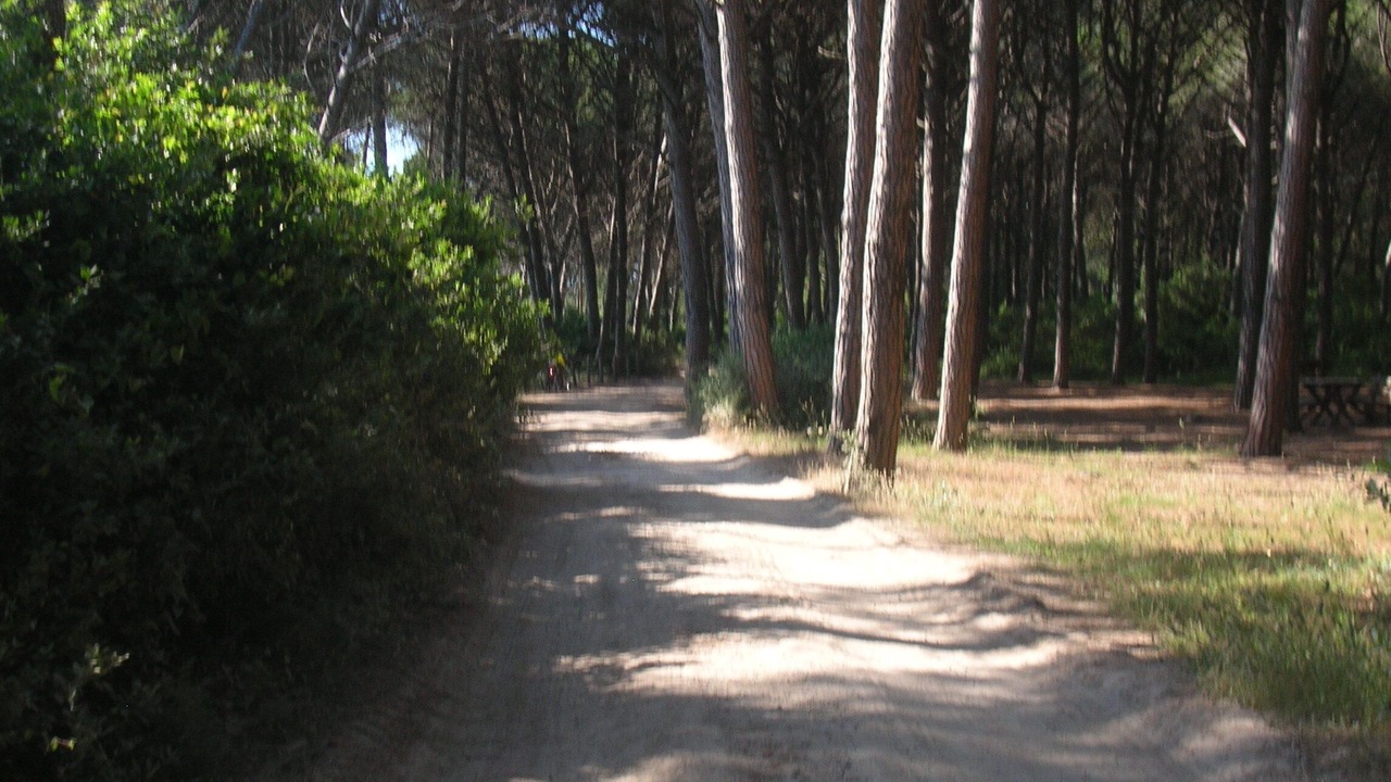 Photo of Outdoor in Mazzanta