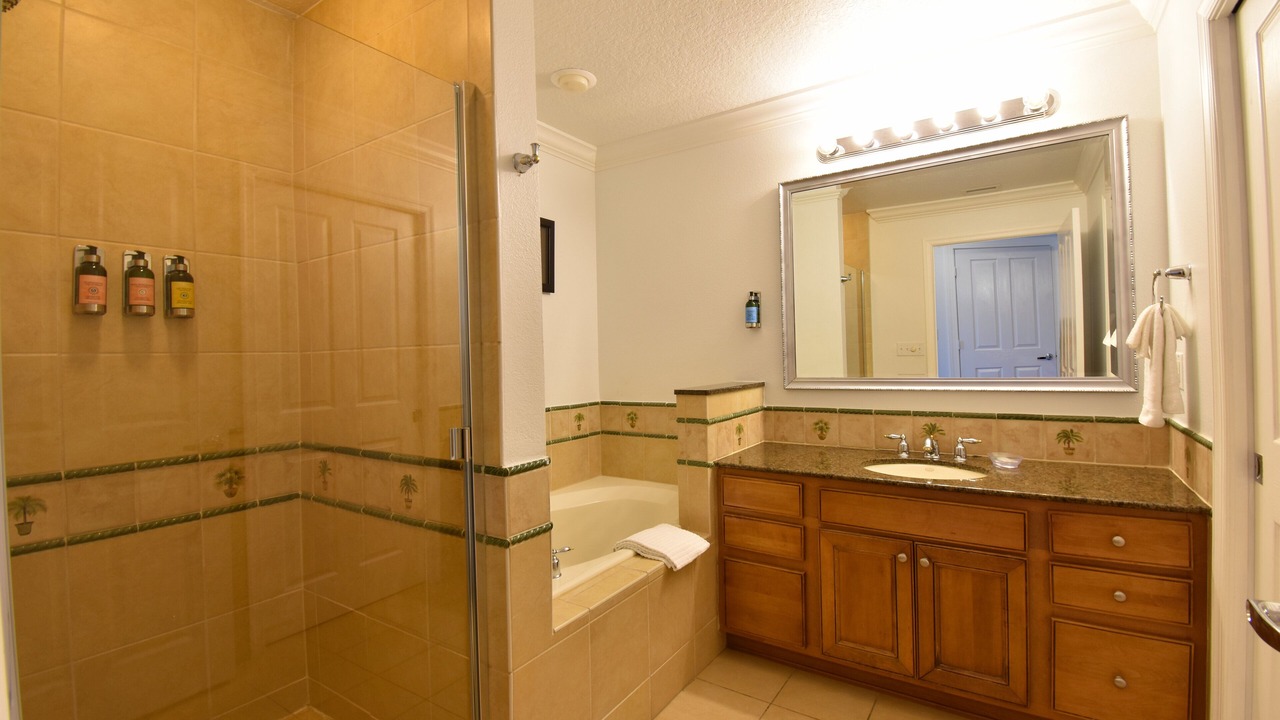 Photo of Bathroom in Reunion