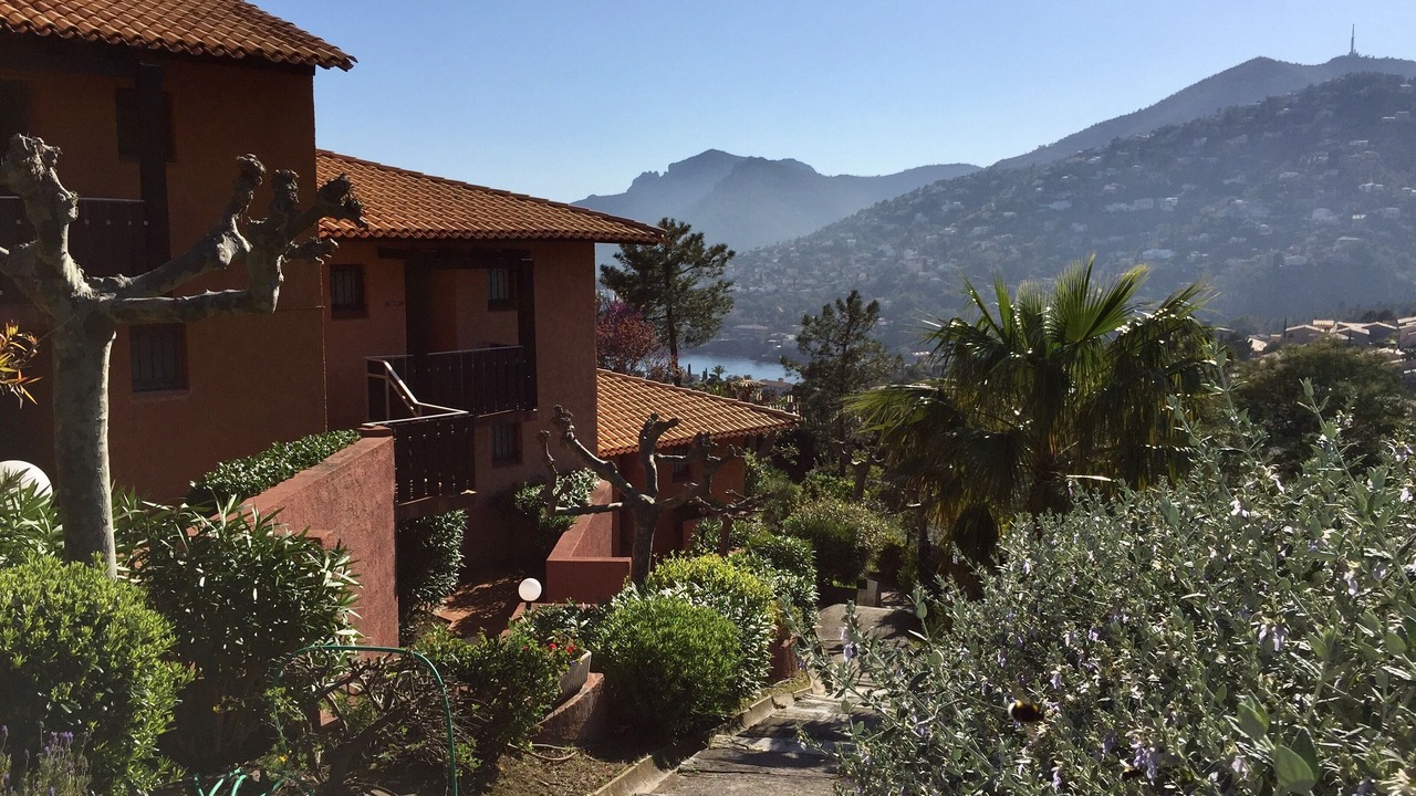 Photo of Outdoor in Theoule-Superieur