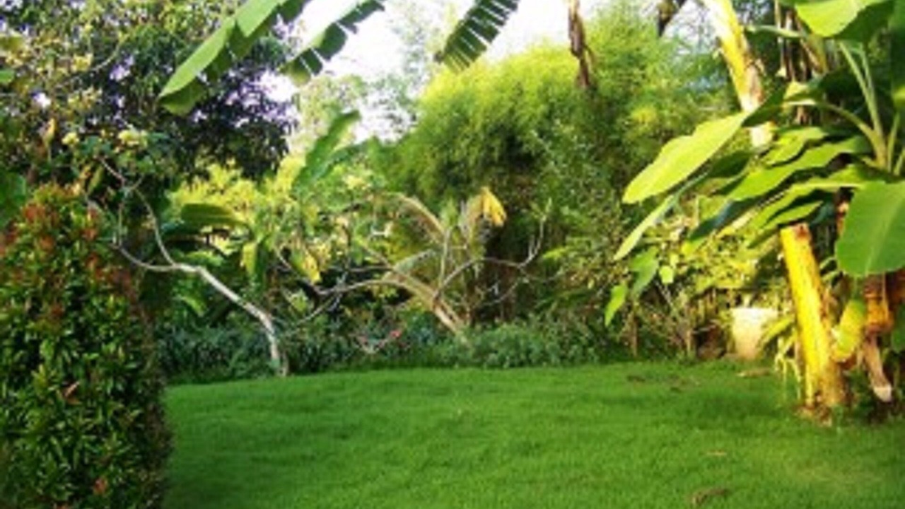 Photo of Outdoor in Dalung