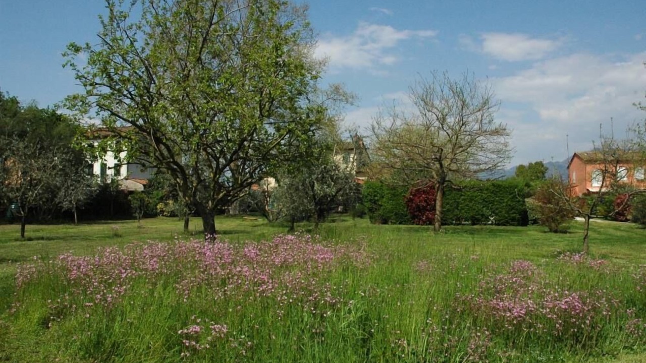 Photo of Outdoor in Lucca