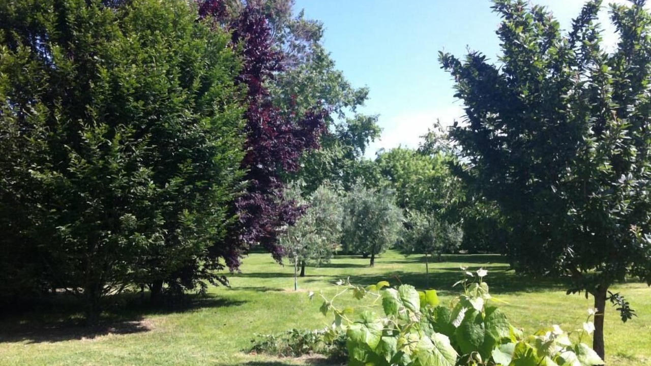Photo of Outdoor in Lucca