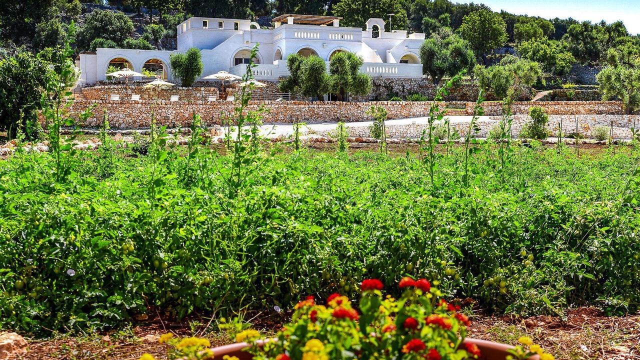 Photo of Others in Ostuni