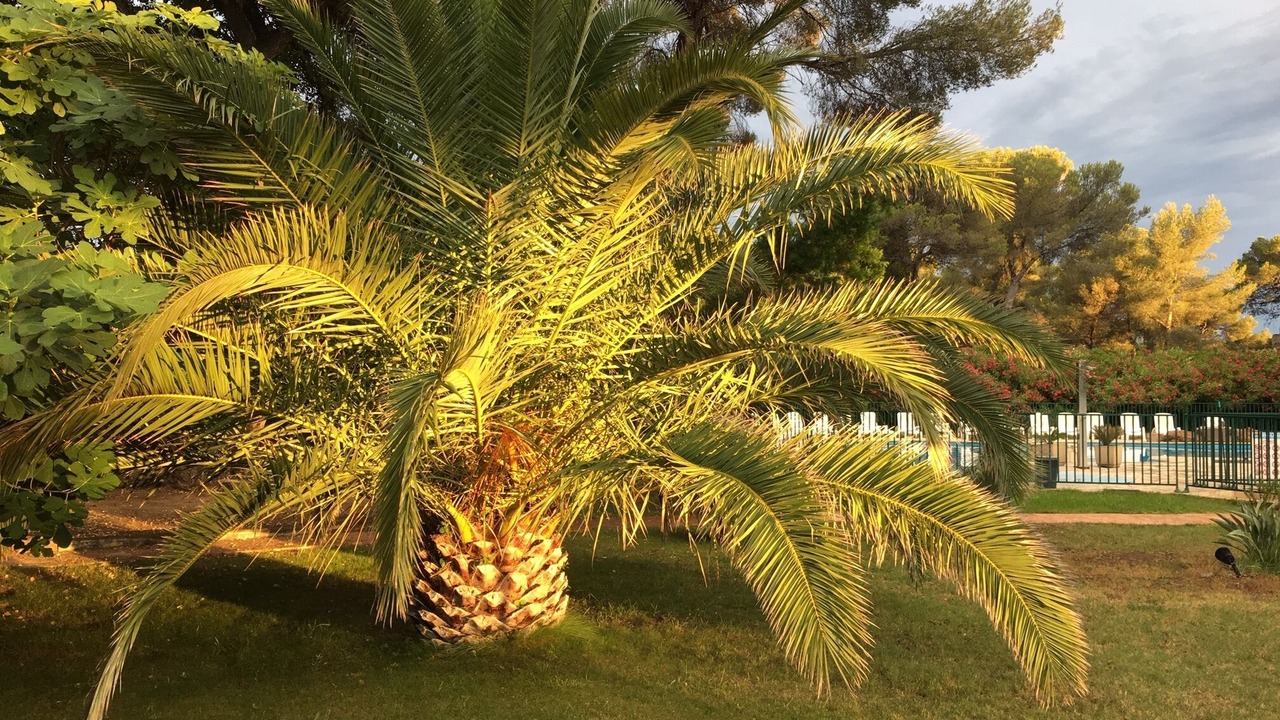 Photo of Outdoor in Boulouris-sur-Mer