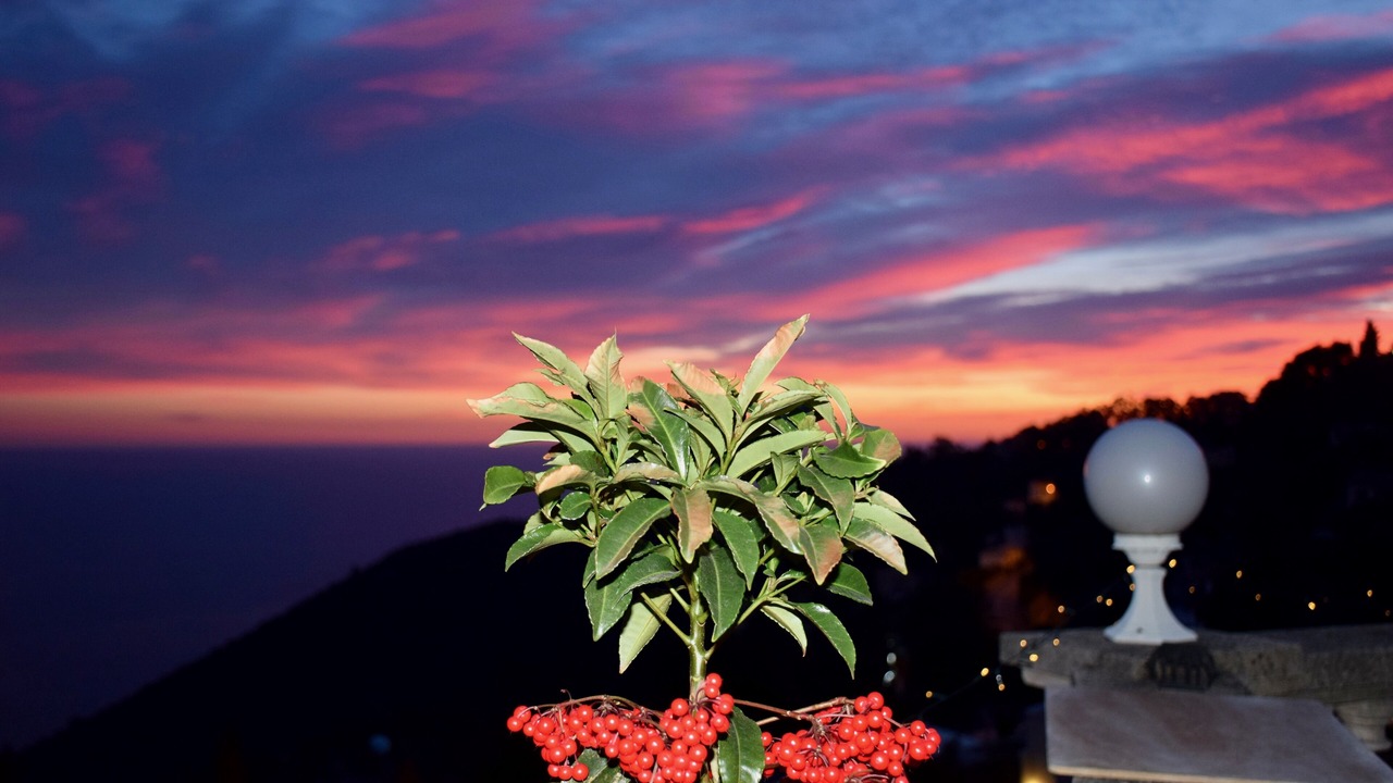 Photo of Others in Eze
