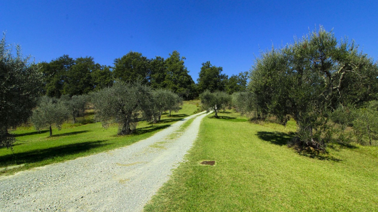 Photo of Others in Santarello