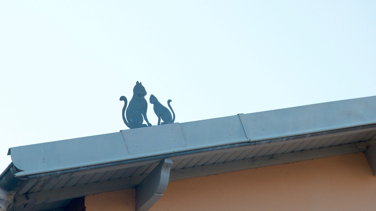 Photo of Outdoor in Menton