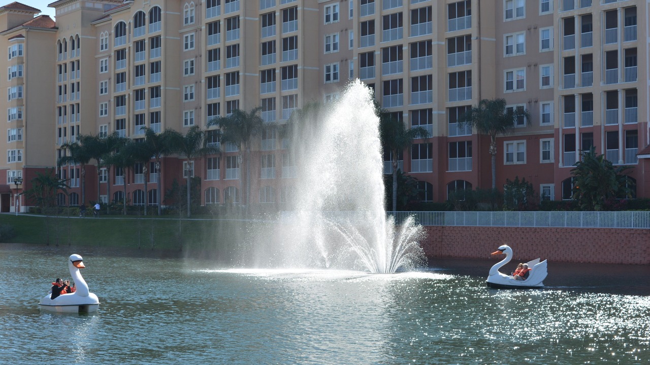 Photo of Outdoor in West Kissimmee