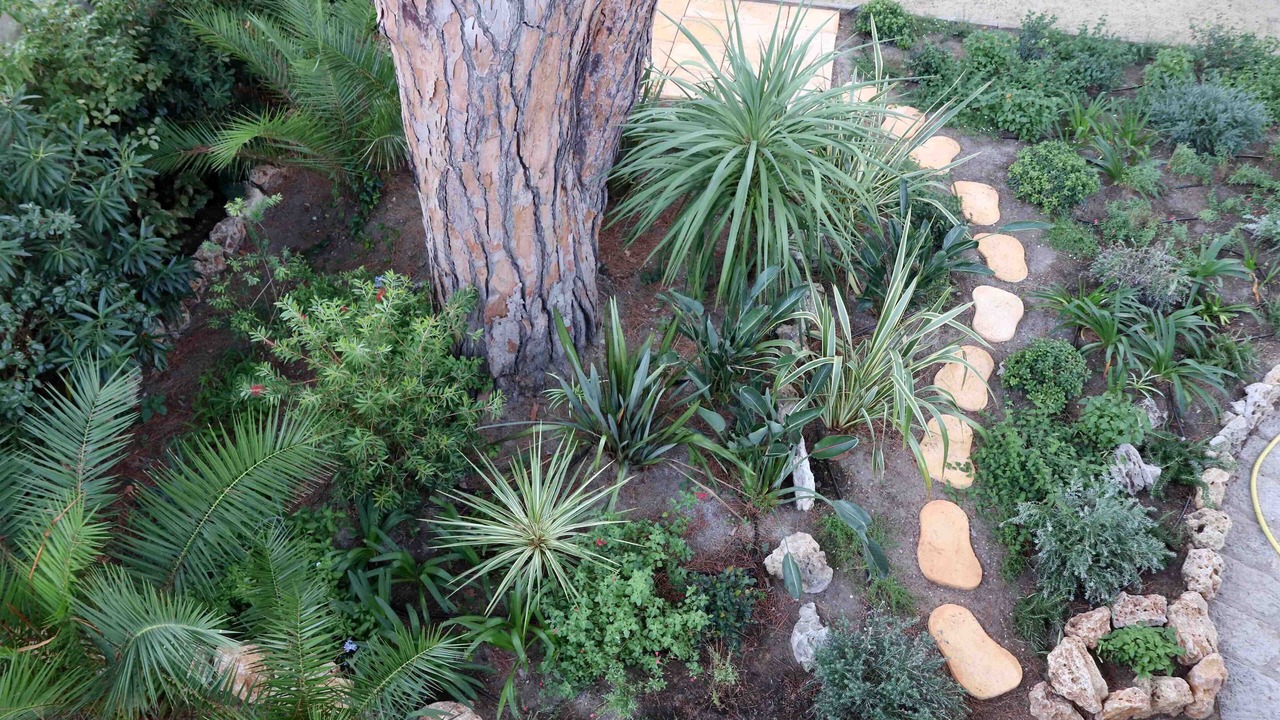 Photo of Outdoor in Cannes
