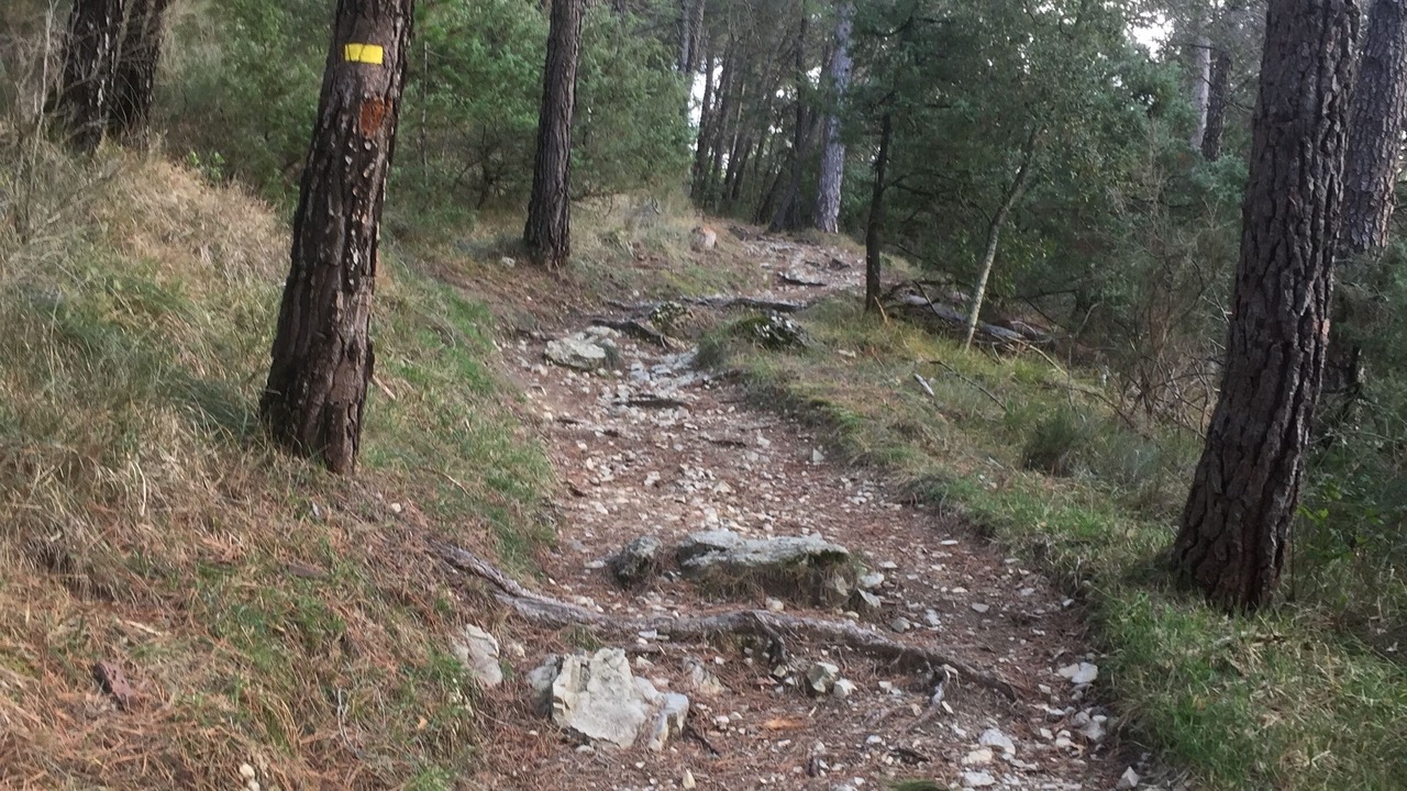 Photo of Outdoor in Peille