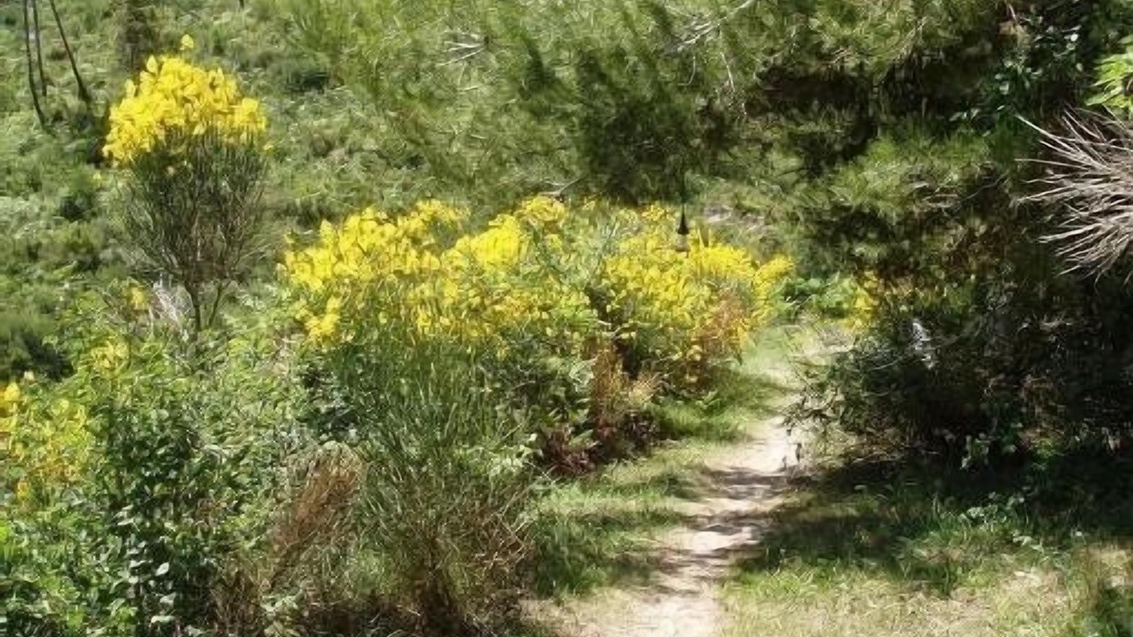 Photo of Outdoor in Contes