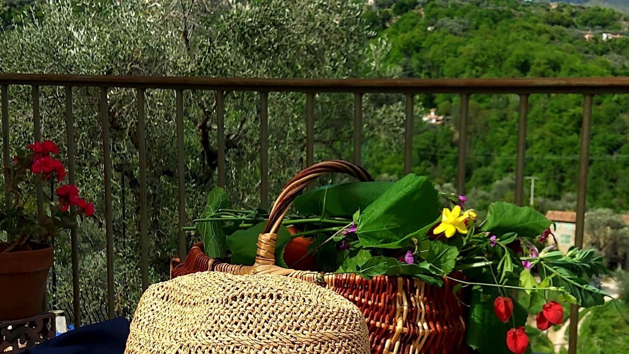 Photo of Patio Balcony in Coaraze