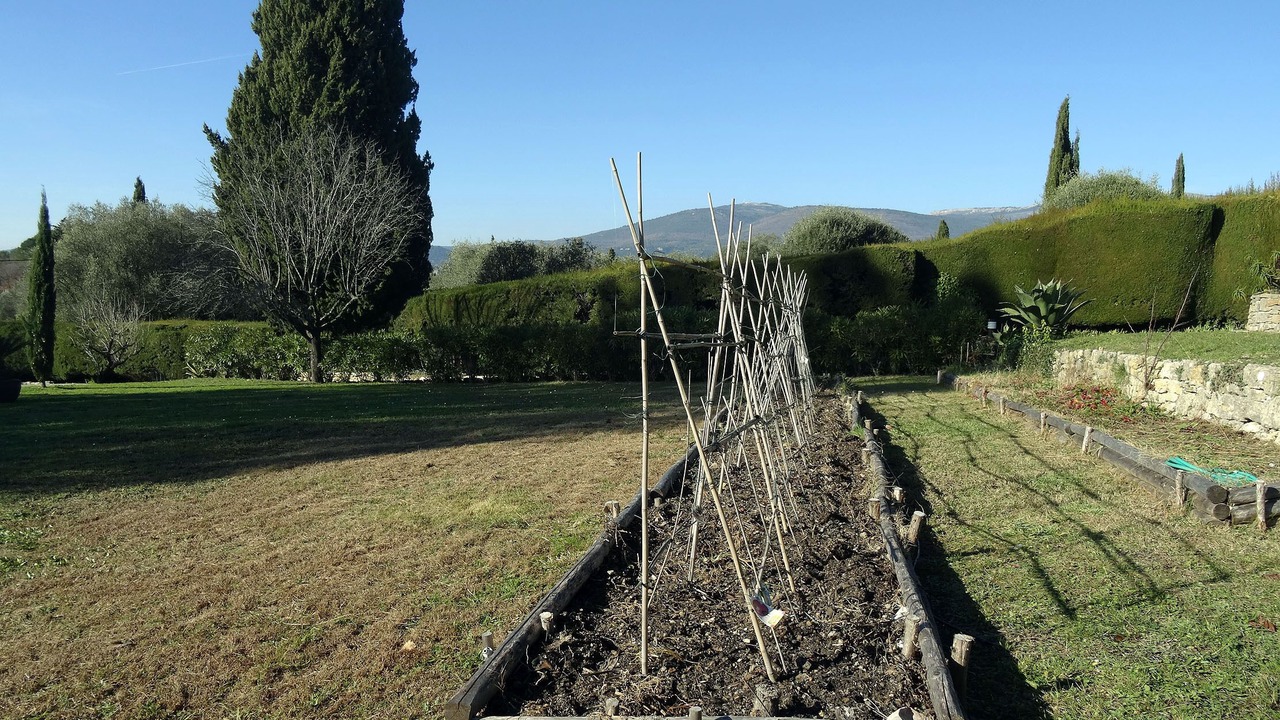Photo of Outdoor in Chateauneuf-Grasse