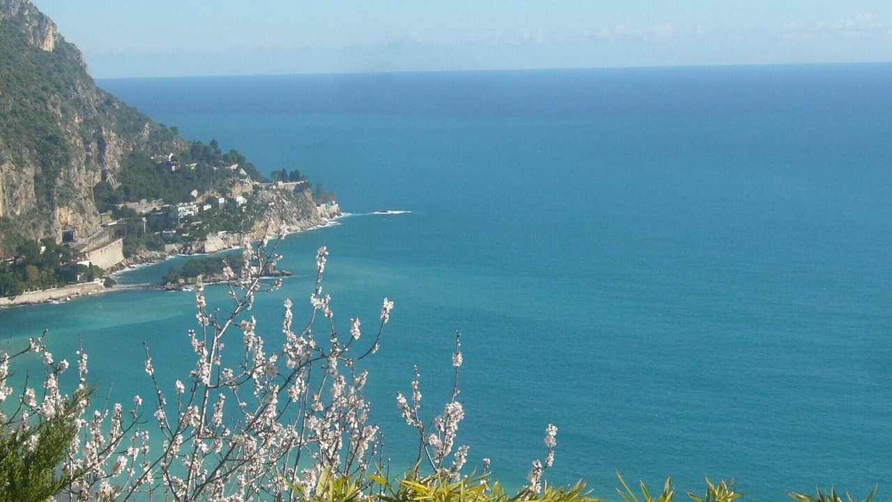 Photo of Others in Eze