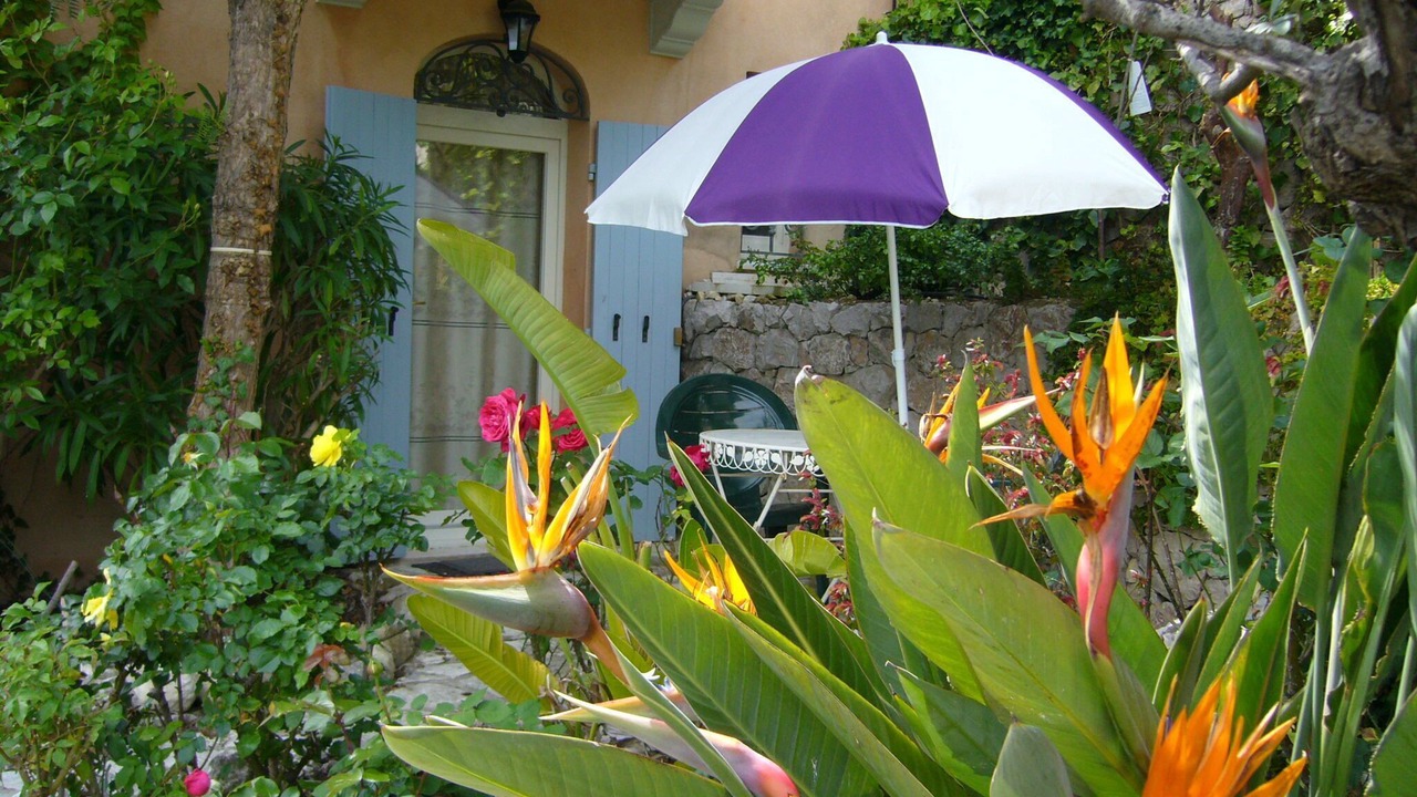 Photo of Outdoor in Eze
