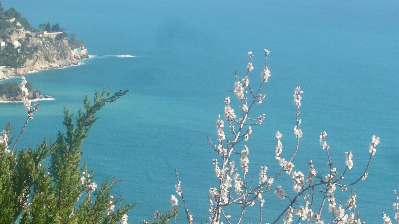 Photo of Others in Eze