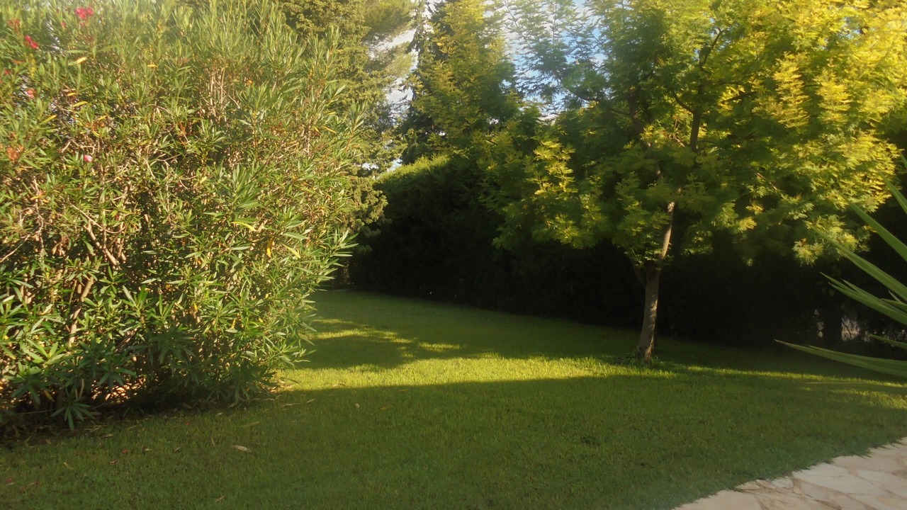 Photo of Outdoor in California - Pezou