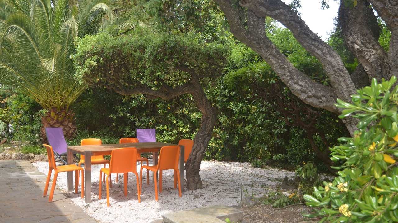 Photo of Outdoor in Saint-Aygulf