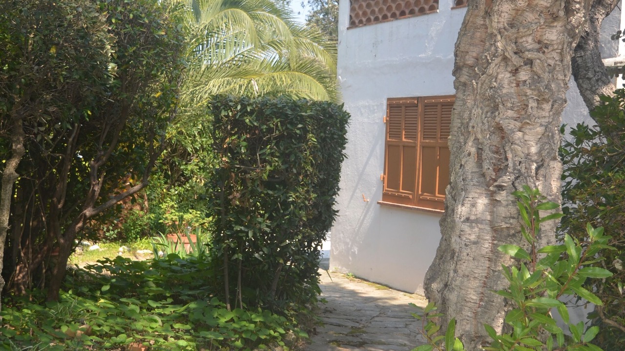 Photo of Outdoor in Saint-Aygulf