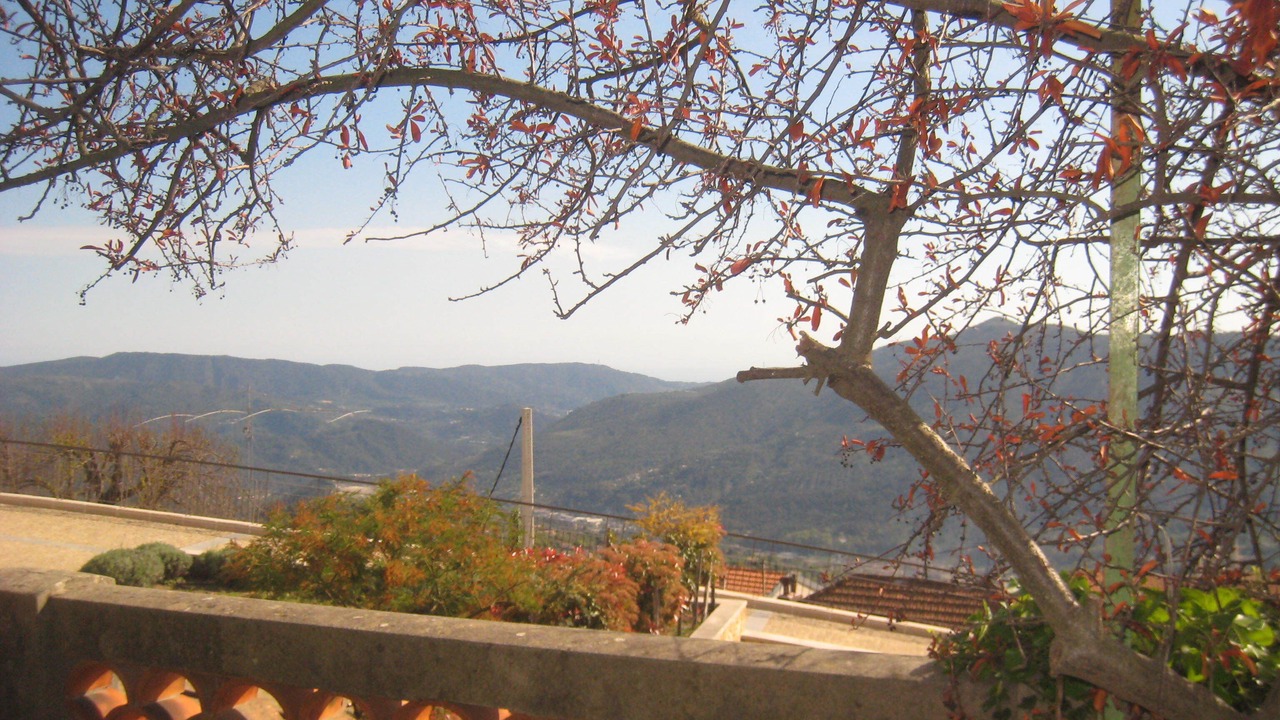 Photo of Outdoor in Berre-des-Alpes