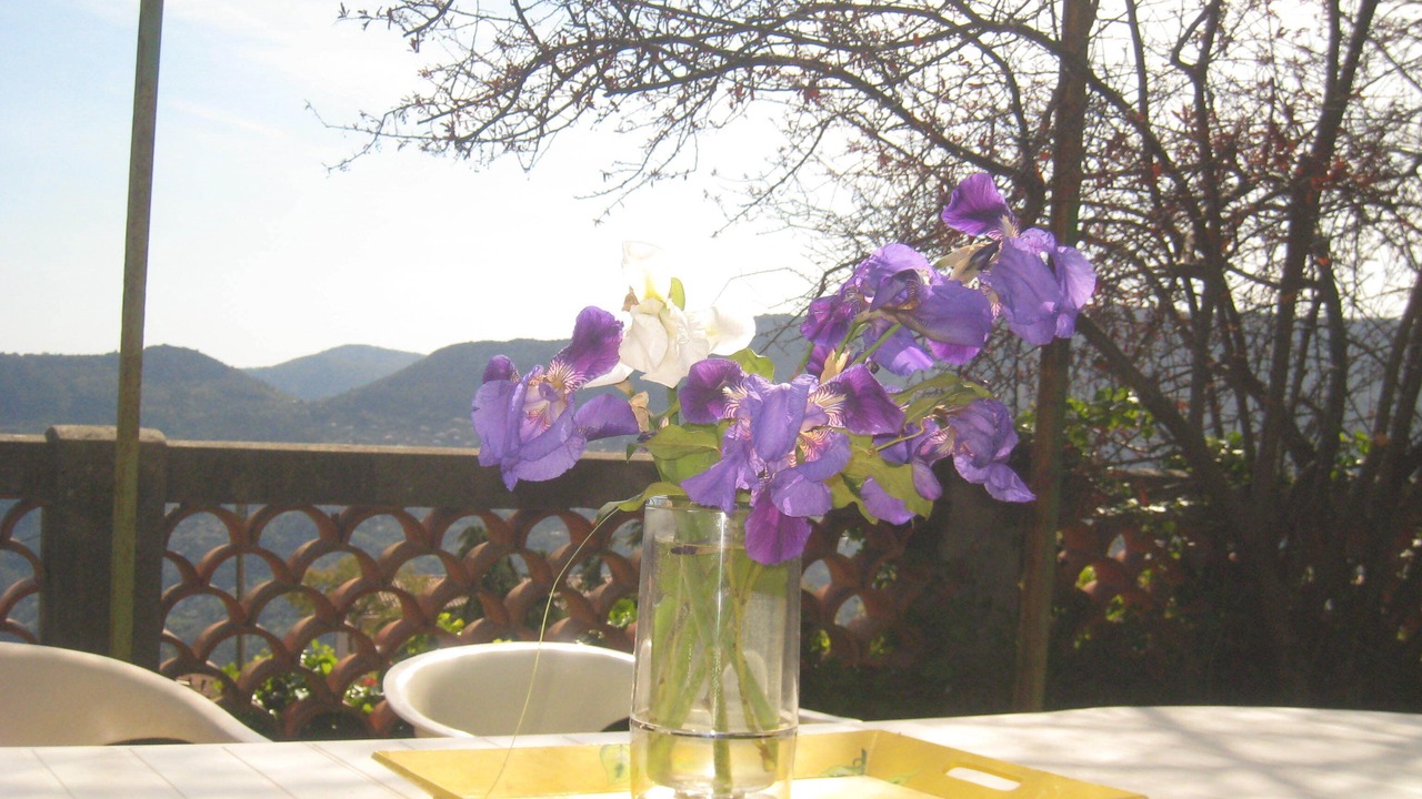 Photo of Outdoor in Berre-des-Alpes