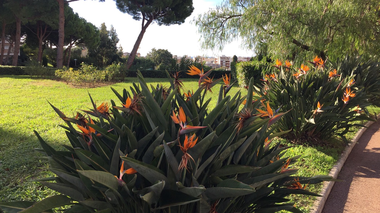 Photo of Outdoor in Antibes