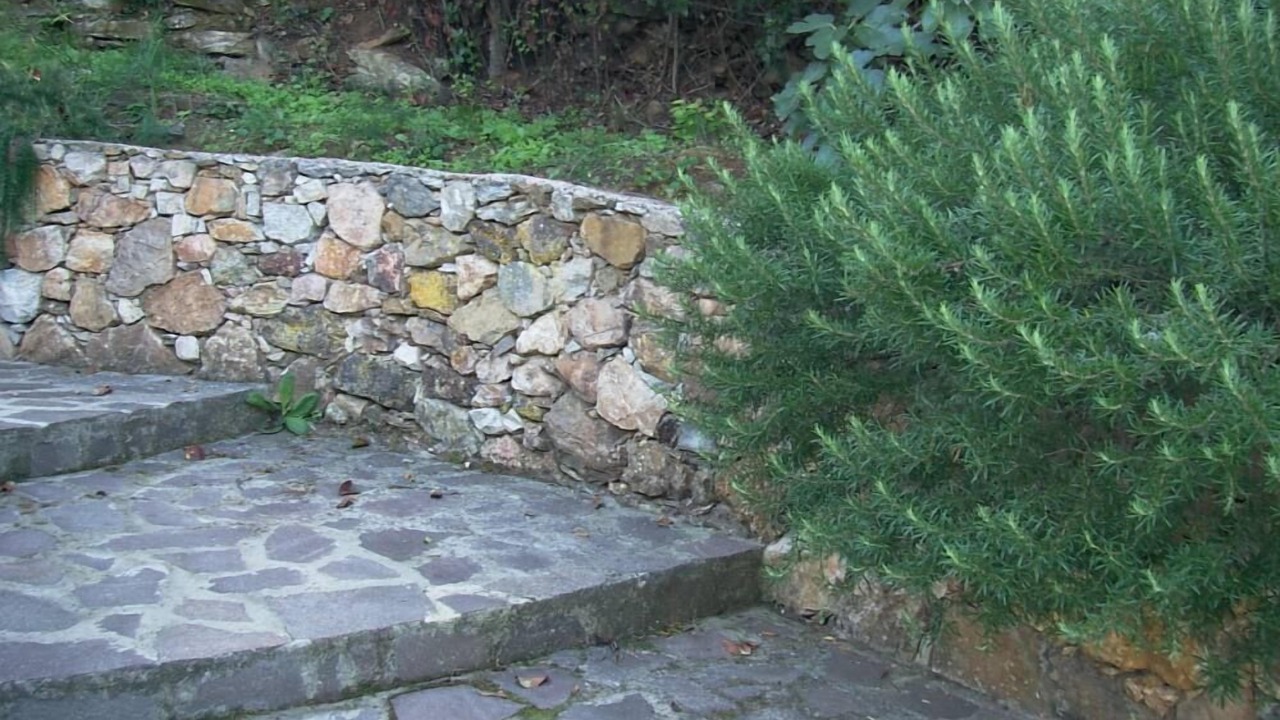Photo of Outdoor in Rio