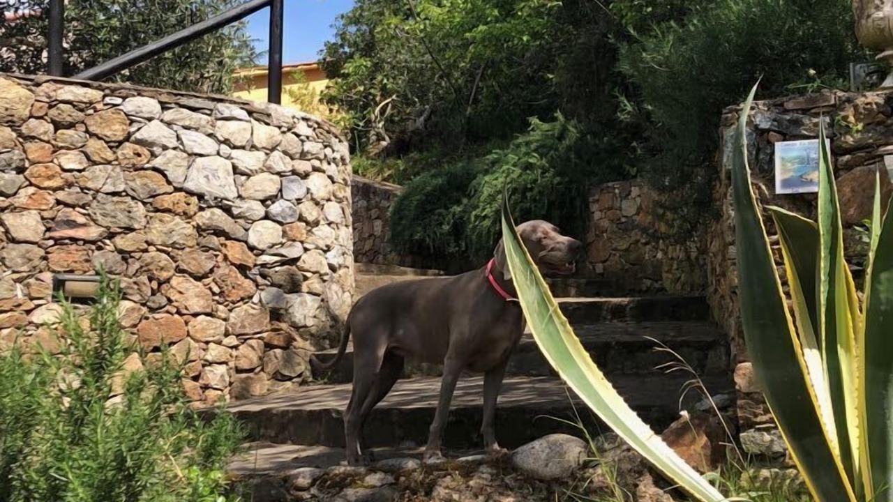 Photo of Outdoor in Rio
