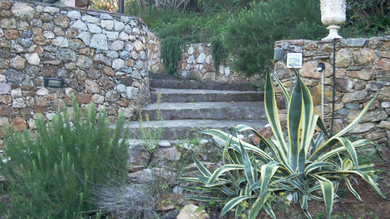 Photo of Outdoor in Rio