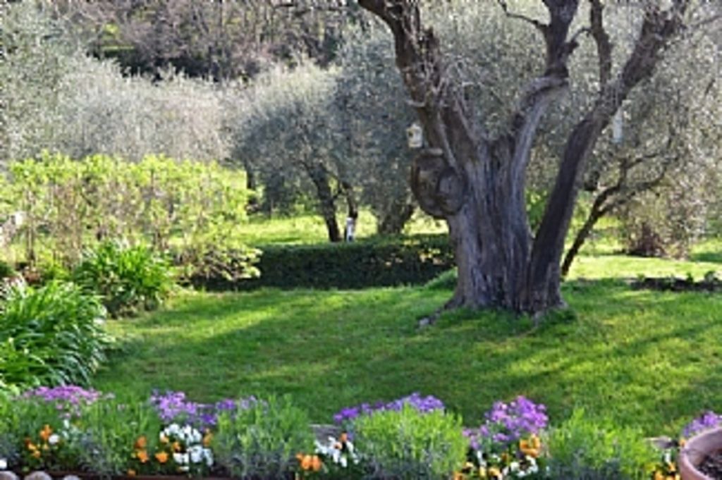 Photo of Outdoor in Le Rouret