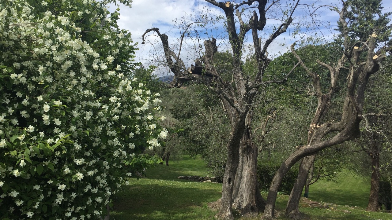 Photo of Outdoor in Le Rouret