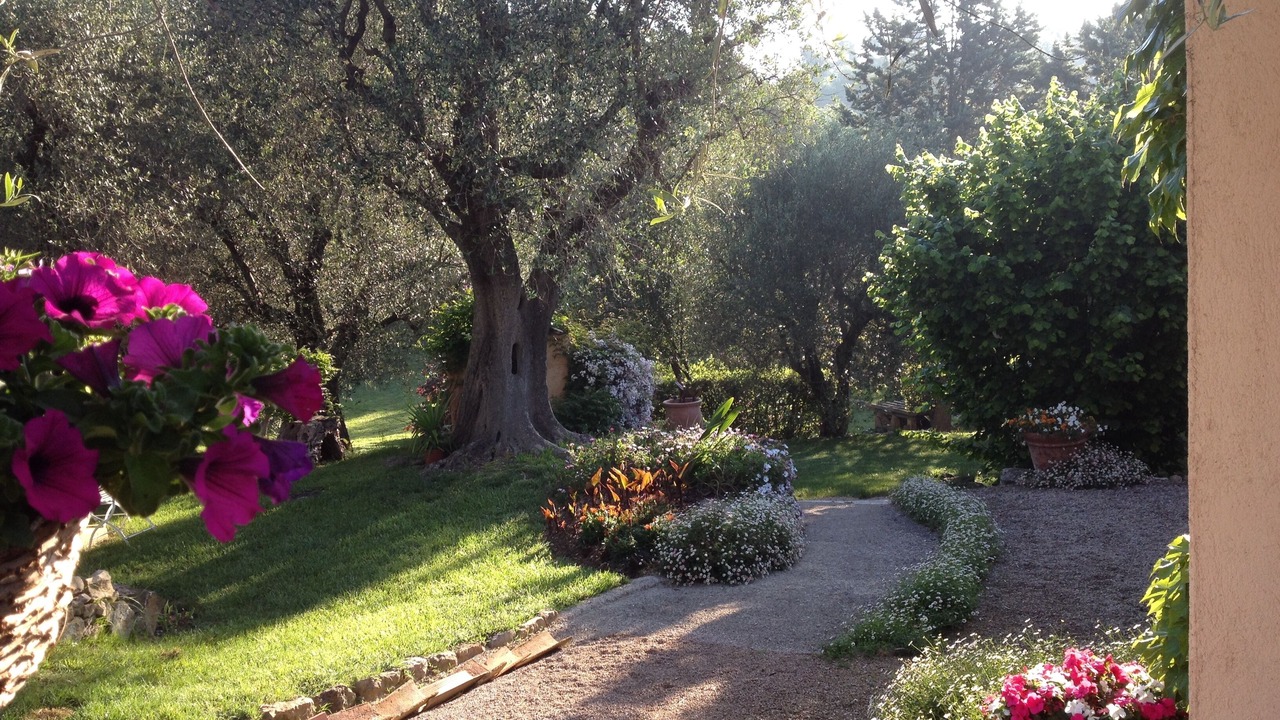 Photo of Outdoor in Le Rouret