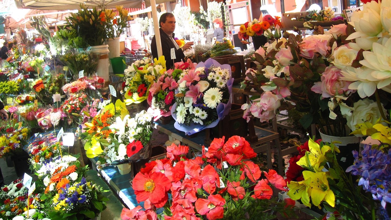 Photo of Others in Lazaret