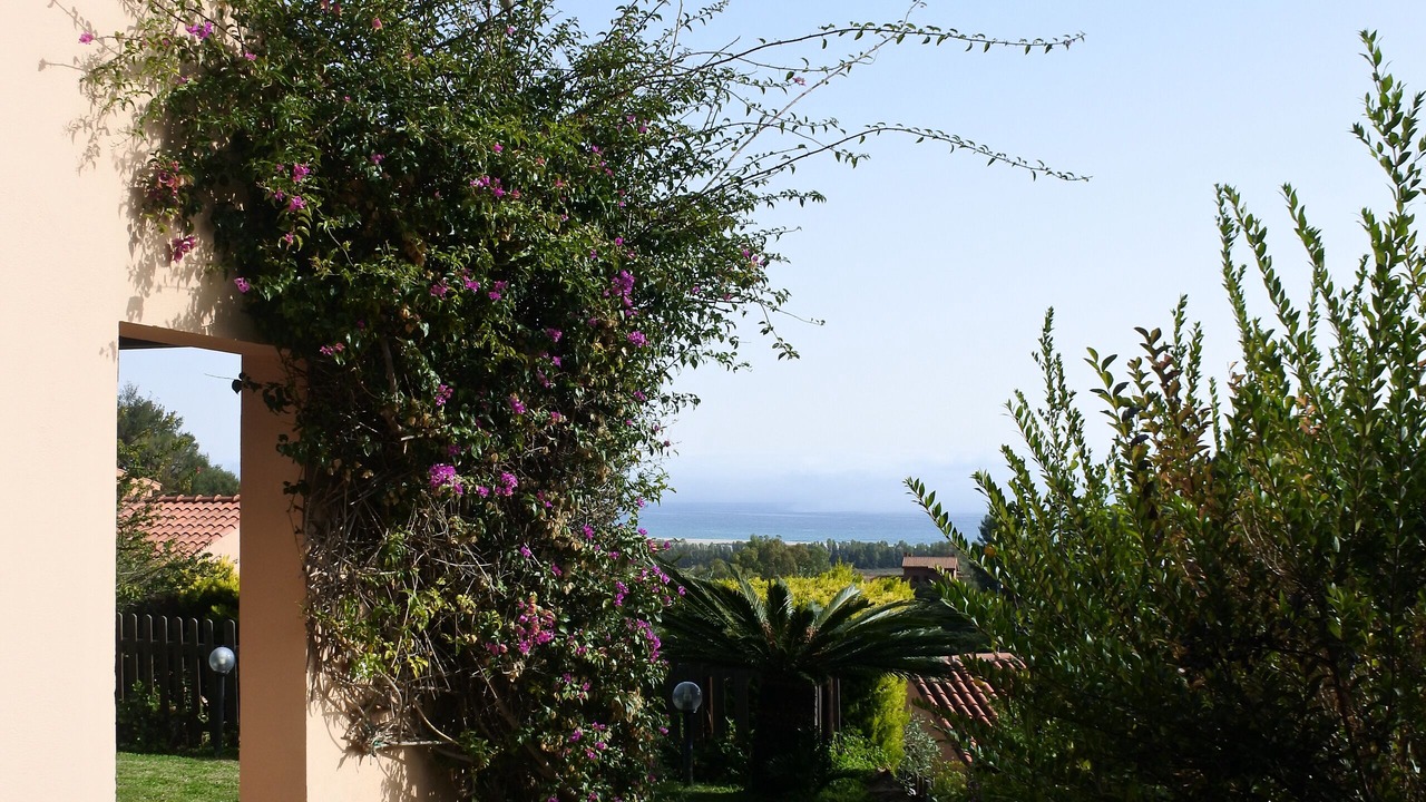 Photo of Outdoor in Costa Rei