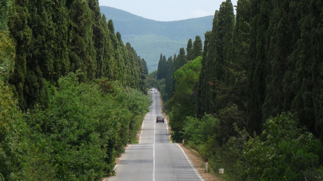 Photo of Outdoor in Bibbona